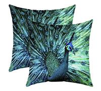 Loussiesd Peacock Throw Pillow Covers 20"x20" Set of 2 Soft Animal Theme Cushion Covers for for Sofa Peacock Feathers Design Green Blue Natural Style Decorative Pillowcases Outdoor Pillows Covers