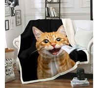 Loussiesd Pet Cats Cute Ginger Cat Throw Blanket for Sofa Couch Bed Funny Lovely Animals Plush Blanket Black Room Decor Double 60"x79"