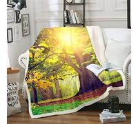Loussiesd Tree Print Fleece Sherpa Blanket - Forest Trees Plush Throw for Chair, Sofa, Couch - Natural Scenery Woodland Scene Bedroom Decor - Fuzzy Double 60"x79"