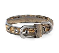 Louvre Museum in Paris Dog Collar Adjustable Pet Collar Stainless Steel D-Ring Collar Oxford Cloth Cat Collar Strap with Metal Buckle for Small Medium Dog