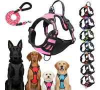 Lovadog No-Pull Dog Harness - No Choke DesignReflective Adjustable Anti-Pull with Easy Control Handle, Breathable Padded Mesh Walking Harness for Small Medium Large Dogs (Pink, XL)