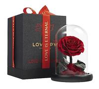 LOVAPPY Eternal Enchanted Forever Preserved Rose - Infinity Rose in Glass Dome - Made from Real Fresh Beauty Rose - Romantic Gifts for Female - Valentines Day - Gift for Mom (Red, 16,5 cm)…