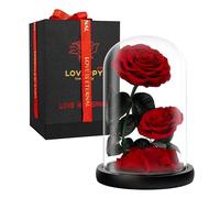 LOVAPPY Eternal Flower in a Glass Dome: Preserved Rose - The Perfect Infinity Forever Rose Gift for Her on Valentine's Day, Mother's Day, Birthday, Anniversary, Wedding, and Christmas (23 cm)