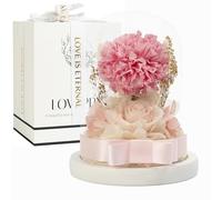 LOVAPPY Flowers: Preserved Rose and Carnation in Glass Dome - Romantic Home Decor and Gift - Fresh Bouquet, Forever Flowers, Gift for Birthday