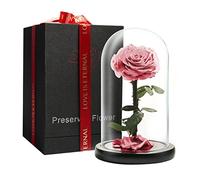 LOVAPPY Preserved Forever Rose in Glass Dome - Beauty and the Beast Romantic Gifts for Her - Eternal Rose Preserved Flowers - Preserved Rose Mother Gifts - Mum Birthday Gifts for women (Pink, 23 cm)