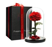 LOVAPPY Preserved Forever Rose in Glass Dome - Beauty and the Beast Romantic Gifts for Her - Eternal Rose Preserved Flowers - Preserved Rose Mother Gifts - Mum Birthday Gifts for women (red, 23 cm)