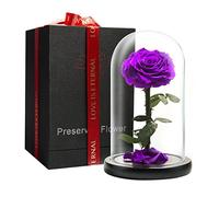 LOVAPPY Preserved Forever Rose in Glass Dome - Beauty and the Beast Romantic Gifts for Her - Eternal Rose Preserved Flowers - Preserved Rose Mother Gifts - Mum Birthday Gifts for women (Purple, 23 cm)