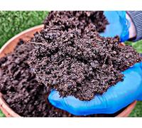 Love Aquatics 3 x 40 Litre Premium grade Multi Purpose Compost