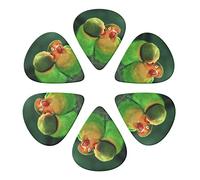 Love Bird 6 Pack Guitar Picks with Organizer Storage Box, Thin-Medium-Heavy Picks Handmade Plectrums Guitar Plectrums Bass Ukulele Picks Acoustic Guitar Lovers Gift