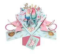 Love Birds Daughter & Son-In-Law Pop Up Anniversary Card Suit Any Occasion POP199C01