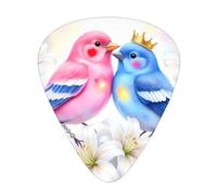 Love Birds Embrace Guitar Picks Gift Set - 12 Smooth Durable Plectrums For Acoustic, Electric & Bass Guitar, Perfect Present For Guitar Lovers & Musicians