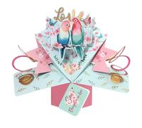 Love Birds Son & Daughter-In-Law Pop Up Anniversary Card Suit Any Occasion POP199C07
