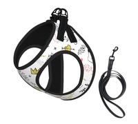 Love Cartoon Fox Print Step in Dog Harness and Leash Set,Mesh Pet Vest Harness for Small Dogs and Cats