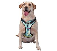 Love Dinosaur X-Large Printed pet Traction Vest for Pets to wear When Walking The Dog or Climbing Mountains