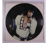 love don't live here anymore / don't you worry