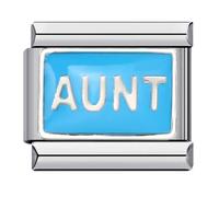 Love Heart Borther Wife Husband Mum Daughter Sister Birthday Nana Family Stainless Steel 9mm Italian Link Charm Compatible With Nomination Bracelet (Aunt Blue Auntie Silver)