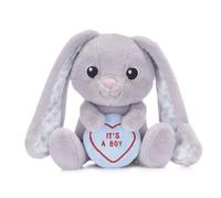 Swizzels Love Hearts "It's A Boy" Baby Benjamin Bunny 7" (18cm) Plush Soft Toy for Newborn Babies