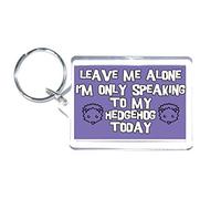 Love Hedgehogs - Leave Me Alone I'm Only Talking To My Hedgehog Today - Novelty Keyring - Ideal Present
