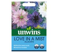 Love In A Mist Allsorts