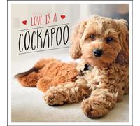 Love is a Cockapoo: A Dog-Tastic Celebration of the World's Cutest Breed