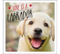 Love is a Labrador: A Lab-Tastic Celebration of the World's Favourite Dog