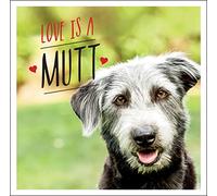 Love is a Mutt: A Dog-Tastic Celebration of the World's Cutest Mixed and Cross Breeds