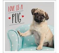 Love is a Pug: A Pugtastic Celebration of The World's Cutest Dogs