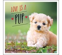 Love is a Pup: A Dog-Tastic Celebration of the World's Cutest Puppies