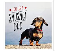 Love is a Sausage Dog : A Pup-Tastic Celebration of Dachshunds - The World's Cutest Dogs