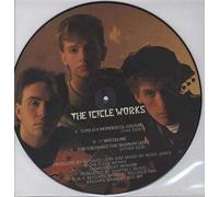 love is a wonderful colour ( 12inch / Vinyl Schallplatte Disque Record) the icicle works