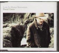 LOVE IS ALWAYS SEVENTEEN