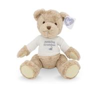 Love Kates LK Bear Amazing Grandson Soft Teddy Wearing Knitted Jumper Plush Keepsake Gift - LK Soft Cream, Grey Dino, 10-Inch, Gift-Ready, Special, Stuffed Toy, Cuddly