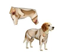 Love knot Print Dog Clothes - 4 Legs Jumpsuit Sweatshirt for Small Medium Large Dogs Cats
