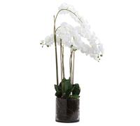 Love Lace Large White Tall Orchid In Glass Pot Artificial Flower Love Lace White