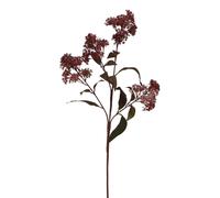 Love Lace Medium Burgundy Smokebush Stem Artificial Flower Love Lace Burgundy