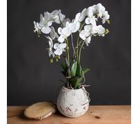 Love Lace White Orchid Artificial Flower In Stone Pot Love Lace White
