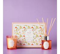 Love Life Sentiment Gift Mini Candle & Diffuser Set - Mum Love Life Multicolor