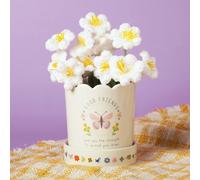 Love Life Sentiment Gift Plant Pot - Friends | Size: Small Love Life Multicolor Small