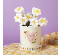 Love Life Sentiment Gift Plant Pot - Mummy | Size: Small Love Life Multicolor Small