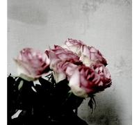 Love Logic [Import]