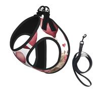 Love Paris Tower Coffee Wine Perfume Bicycle Heart Print Step in Dog Harness and Leash Set,Adjustable Reflective Harness for Small Dogs Cats