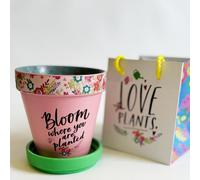 Love Plants Pot Bloom Where You Are Planted