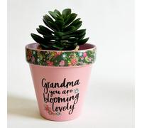 Love Plants Pot Grandma You Are Blooming Lovely