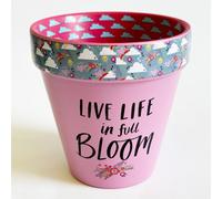 Love Plants Pot Live Life In Full Bloom