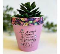 Love Plants Pot When It Comes To Friends