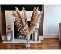 LOVE PRODUCTS - Beige Natural Pampas Grass - Dried Flowers for Home Decor - 5 Stem Large Pampas - Aesthetic Boho Home Decor - Hand Picked 70cm Fluffy Flower for Decor - 120cm Tall(1 stem=1 stick)