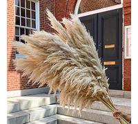 LOVE PRODUCTS - Natural Pampas Grass -Dried Flowers for Home Decor -5 Stems Large Cream Pampas - Aesthetic Boho Home Decor - Hand Picked 70-80 cm Fluffy Flower for Decor - 120 cm Tall (1 stem=1 stick)