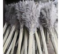 LOVE PRODUCTS Natural Pampas Grass Dried Flowers for Home Decor Deluxe Dark Grey Pampas Aesthetic Boho Home Decor Hand Picked 80 100cm Fluffy Flower for Decor 120cm Tall (1 stem=1 stick) (5)