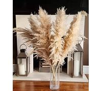 LOVE PRODUCTS - Natural Pampas Grass -Dried Flowers for Home Decor - Large 7 Stems Beige Pampas - Aesthetic Boho Home Decor - Hand Picked 70-80cm Fluffy Flower for Decor - 120cm Tall (1 stem=1 stick)