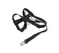LOVE STORY Black Polyester Car Seat Belt Medium 50cm x 2.5cm